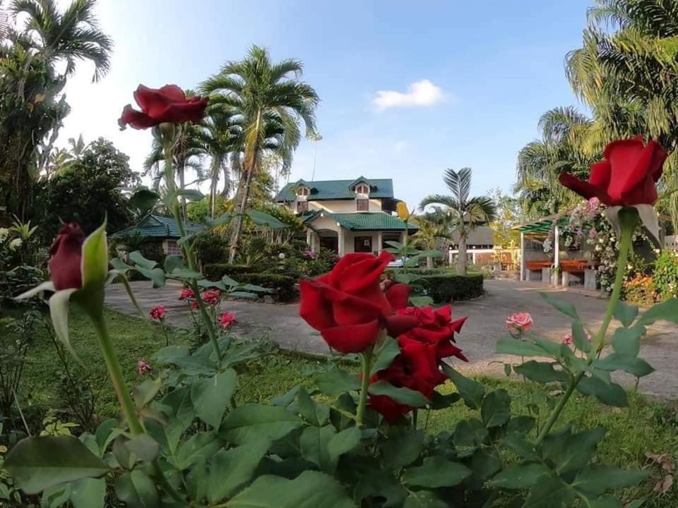 Ekman Garden Resort Sichon Exteriér fotografie